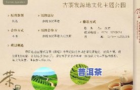 是茶叶的发源地吗，探究茶叶的起源：是否真的是茶叶的发源地？