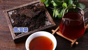 普洱茶米缸-普洱茶缸图片价格