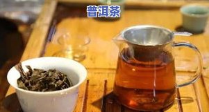 广东哪里产茶叶，探寻广东茶叶产地，品尝不一样的茶香