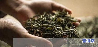 普洱茶怎么卖出去，如何有效地销售普洱茶：策略与技巧