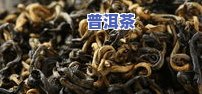 普洱茶茶饼冲泡步骤说明，详细指南：普洱茶茶饼的冲泡步骤说明