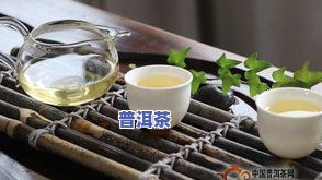 煮普洱茶饼的冲泡方法视频-煮普洱茶饼的冲泡方法视频教程