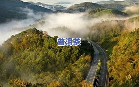 云南普洱茶核心山场是哪里啊，探寻云南普洱茶的灵魂：核心山场在哪里？