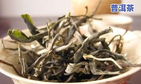 普洱茶是普洱树的叶子加工而得名吗，普洱茶真的来自普洱树？你需要知道的事实