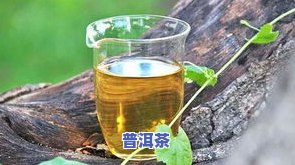 普洱茶经验之谈，分享普洱茶的经验之谈：从选茶到品饮的全面指南