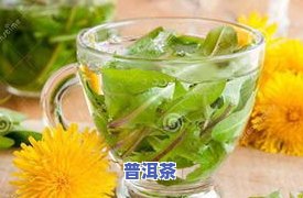 茶叶加盟条件，揭秘茶叶加盟条件，成功开店的必备指南