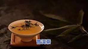 关于喝普洱茶的宣传-关于喝普洱茶的宣传语