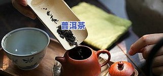 北京普洱茶都，探索北京普洱茶都：品味传统茶文化的魅力