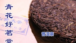 南峤一号普洱茶饼：特别口感与高品质的完美结合