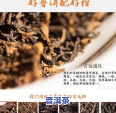 普洱茶冷萃教程图解大全-普洱茶冷萃教程图解大全视频