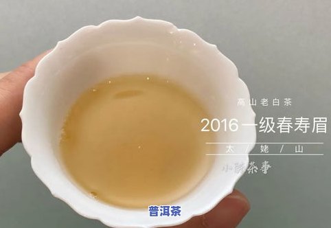 福州老树普洱茶哪家好喝-福州老树普洱茶哪家好喝一点