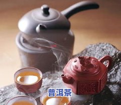 普洱茶茶，品味云南：探索普洱茶的独特魅力与文化价值