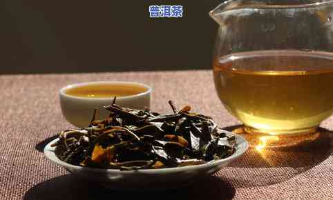 普洱冰岛古树茶生茶价格，探寻古韵之味：普洱冰岛古树茶生茶价格解析