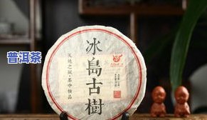 冰岛普洱茶古树原叶生茶-冰岛普洱茶古树原叶生茶价格表