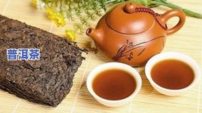 用普洱茶制作减肥茶可以吗-用普洱茶制作减肥茶可以吗