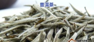 普洱茶看起来白毫很多正常吗，白毫多的普洱茶是正常的吗？