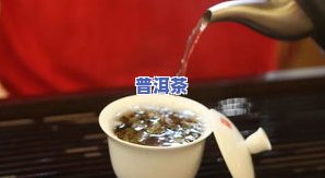 云南普洱茶中的茶梗是什么-云南普洱茶中的茶梗是什么颜色