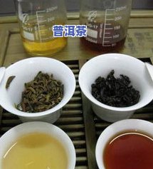 一般的普洱茶多少钱一斤4.6万阅读，普洱茶价格解析：一般的一斤售价约4.6万元，阅读量达4.6万