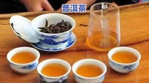 昌泰橙绿普洱茶-昌泰橙绿普洱茶好喝吗