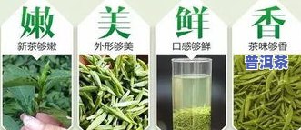 普洱茶绿色包装盒价格表大全，全面了解普洱茶绿色包装盒价格，一文在手，不用再愁！