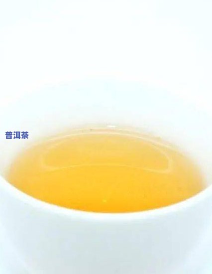 白茶名茶排行榜前十，探秘白茶名茶：排行榜前十的口感与特点