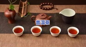 玩转普洱茶-玩转普洱茶老茶鬼说茶