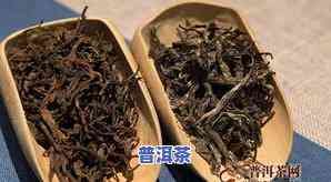 班章普洱茶简介，探索神秘的班章普洱茶：一种独特的茶叶