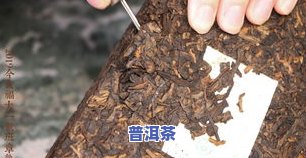 班章一号普洱茶-班章一号普洱茶怎么样