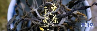 普洱茶好记-普洱茶记录片