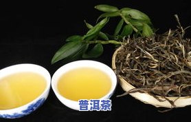 普洱茶香气，探寻普洱茶的香气世界：一种独特的茶叶体验