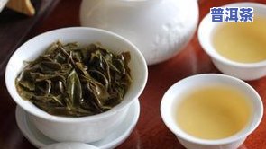 勐海普洱茶特点口感，探秘勐海普洱茶的独特口感特征