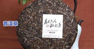 普洱茶饼是什么茶叶做的好，探秘普洱茶饼：究竟由何种茶叶制成？