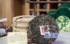 普洱茶饼是什么茶叶做的好，探秘普洱茶饼：究竟由何种茶叶制成？