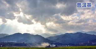 普洱茶跌落-普洱茶跌落神坛