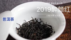 普洱茶绿茶一起泡好吗吗-普洱茶绿茶一起泡好吗吗怎么泡