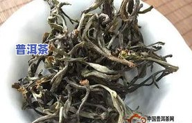 曼松普洱茶口感-曼松普洱茶口感特点