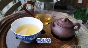 最有名的普洱茶公司，探寻普洱茶之巅：揭秘最有名的普洱茶公司