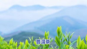 茶叶根的图片，美丽自然：欣赏茶叶根的图片