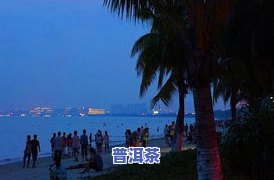 三亚茶叶，探索海南之美：三亚茶叶的独特风味与历史背景