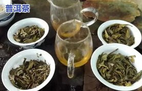 收藏的普洱茶上哪买的正宗-收藏的普洱茶上哪买的正宗呢