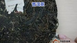 普洱茶压的太紧怎么撬，如何轻松撬开过紧的普洱茶？