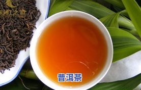 普洱茶傣文是什么意思啊，探究普洱茶在傣语中的含义