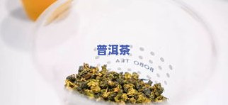 原产地茶叶是哪产的-原产地茶叶是哪产的好