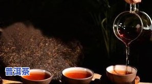 云南景谷普洱茶特点，探秘云南景谷普洱茶的独特魅力与特点