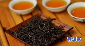 川红茶是什么茶树品种，揭秘川红茶：它是哪种茶树品种？