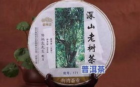 老同志普洱茶9978，品味历史，享受健康：老同志普洱茶9978的魅力探索