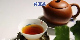 爱里普洱茶-爱普洱茶的人