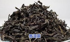 爱里普洱茶-爱普洱茶的人