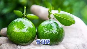 去哪里买小青柑普洱茶-去哪里买小青柑普洱茶好