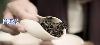 茶叶表面有一层白的是什么病，茶叶表面的白色物质是什么？并非病，真相在这里！